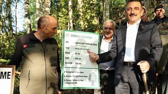 Vali Hacıbektaşoğlu Gümeli'de anıt ağaçları ve yaylaları inceledi