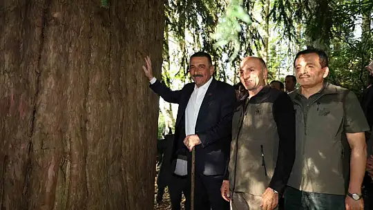 Vali Hacıbektaşoğlu Gümeli'de anıt ağaçları ve yaylaları inceledi
