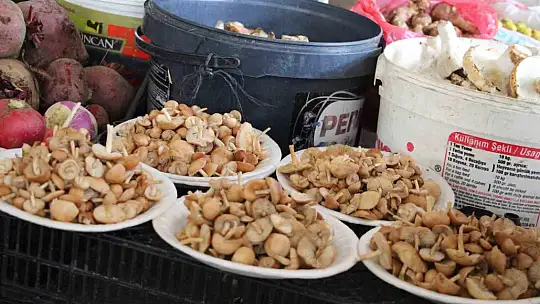 Vatandaş ormandan kova kova topladı, pazarda kilosunu 400 liraya sattı