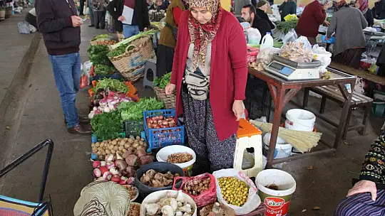 Vatandaş ormandan kova kova topladı, pazarda kilosunu 400 liraya sattı