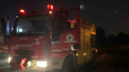 Vinçle kurtarılmayı bekleyen eşek sahibine koştu
