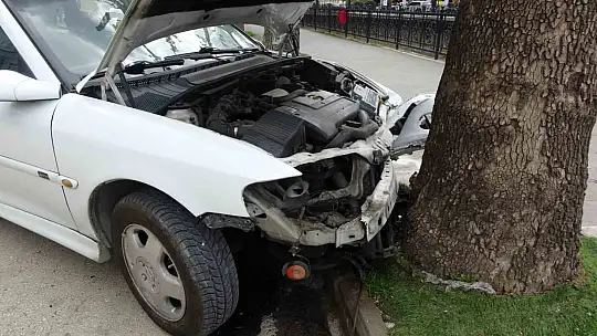 Virajı alamayan otomobil, kaldırımda ağaca çarptı