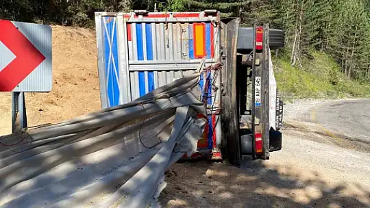 Virajı alamayan talaş yüklü tır devrildi: 2 yaralı