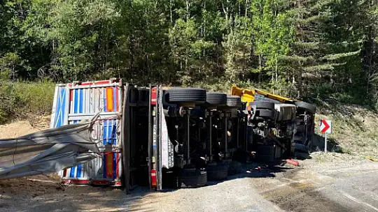 Virajı alamayan talaş yüklü tır devrildi: 2 yaralı