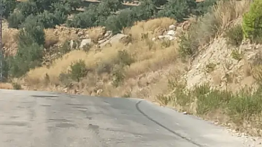 Alevlere teslim olmuştu, Gülzeyalı'dan güzel haberler var
