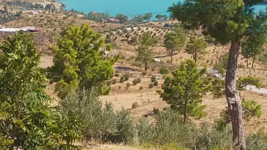 Alevlere teslim olmuştu, Gülzeyalı'dan güzel haberler var
