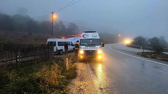 Yağış nedeniyle kontrolden çıkan hafif ticari araç şarampole uçtu: 1 yaralı