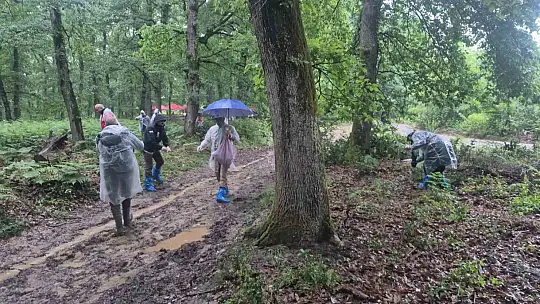 Yağmur çamur demeden ormanda çöp topladılar