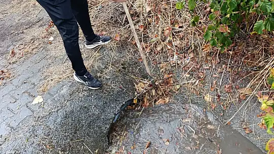 Yağmur suyu kanalları temizleniyor