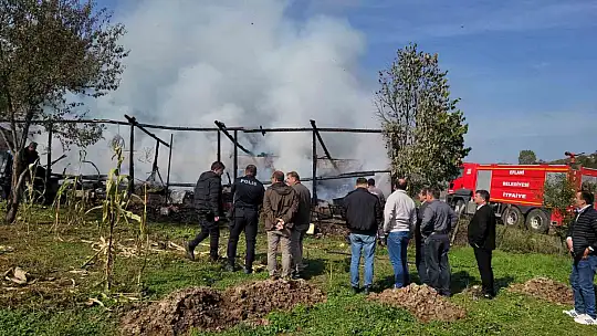 Yangında 36 kovan arı telef oldu