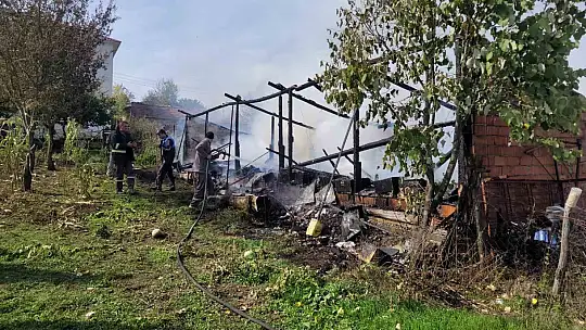 Yangında 36 kovan arı telef oldu