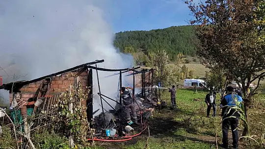 Yangında 36 kovan arı telef oldu
