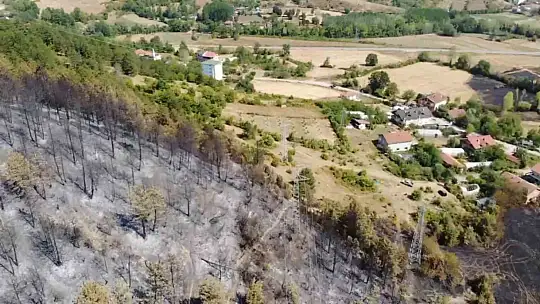 Yangının yol açtığı tahribat görüntülendi