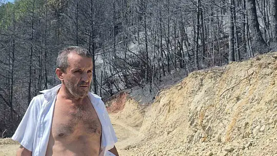 Yangının yol açtığı tahribat görüntülendi