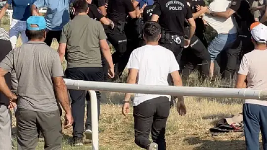 Atlar kafa kafaya çarpıştı