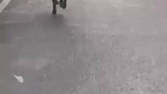 Yaşlı adam, üzerine koşan domuzdan son anda kurtuldu