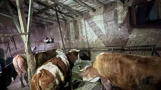 Yaşlı kadının 2 katlı evi küle döndü