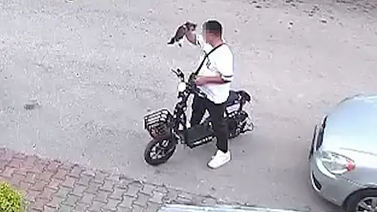 Yavru kediyi önce öptü sonra boğdu