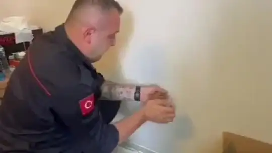 Yavruları duvar arasında mahsur kalan kedinin imdadına itfaiye ekipleri yetişti