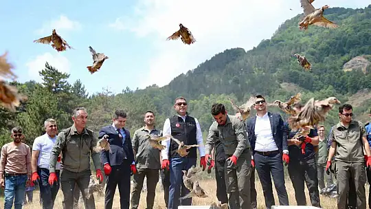 Yaylatepe'de 500 keklik doğaya salındı