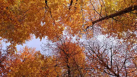 Yedigöller Milli Parkı ziyaretçi akınına uğradı