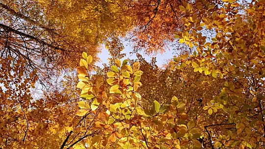 Yedigöller Milli Parkı ziyaretçi akınına uğradı