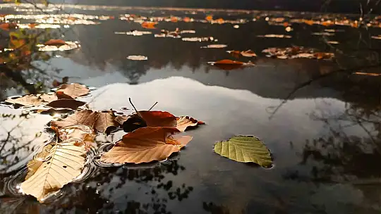 Yedigöller Milli Parkı ziyaretçi akınına uğradı