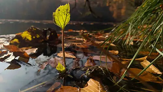 Yedigöller Milli Parkı ziyaretçi akınına uğradı