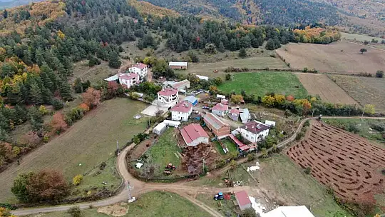 Yemek borusuna armut kaçan gebe inek, ameliyatla kurtarıldı