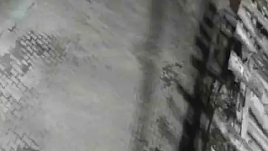 Yerleşim alanına inen ayılar köy sakininden korkup kaçtı