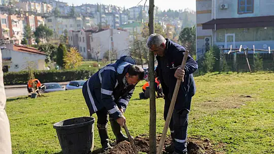 Yeşil Düzce'de fidanlar toprakla buluştu