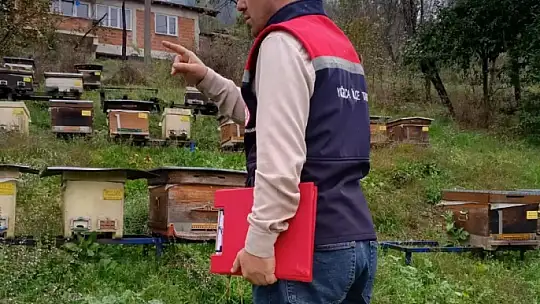 Yığılca'da ekipler sahada tek tek sayıyor