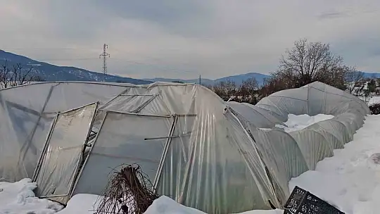Yoğun kar çok sayıda serayı yıktı