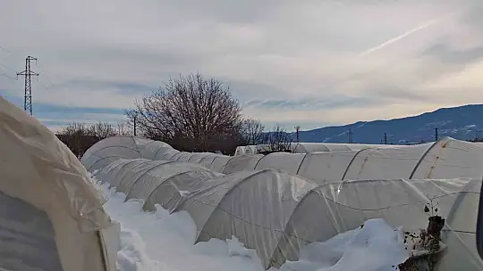Yoğun kar çok sayıda serayı yıktı