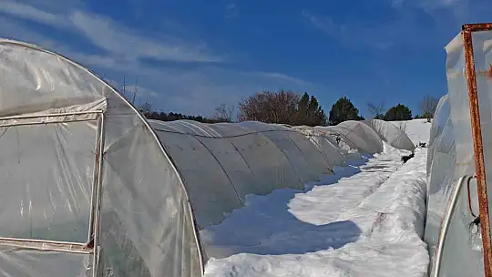 Yoğun kar çok sayıda serayı yıktı