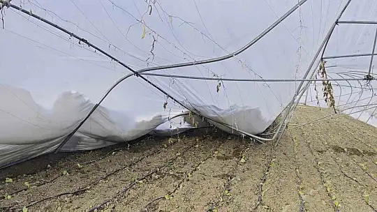 Yoğun kar çok sayıda serayı yıktı