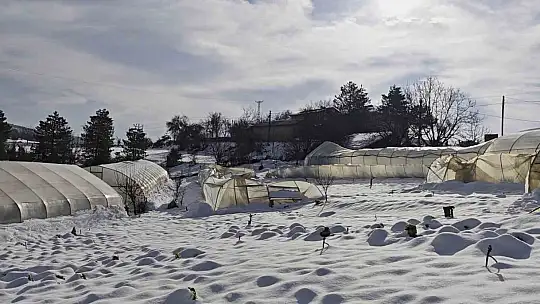 Yoğun kar çok sayıda serayı yıktı