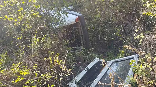 Yoldan çıkan araç ağaçlık alana uçtu: 1 yaralı