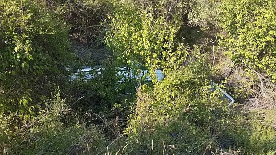 Yoldan çıkan araç ağaçlık alana uçtu: 1 yaralı