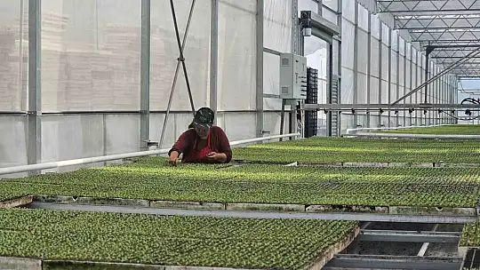 Yüksek teknolojiyle topraksız tarım, sıfır atık ve kadın istihdamıyla örnek model oldu