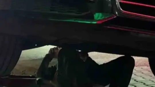 Yunanistan'dan Bolu'ya otomobilin motorunda gelen minik misafir