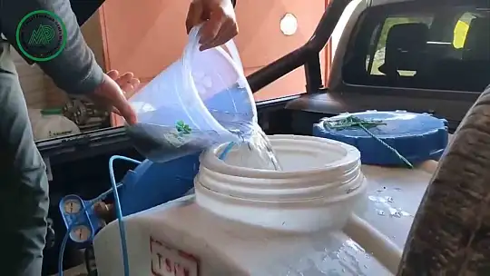 Yüzlerce alabalık derelere salındı