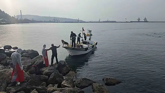 Zonguldak'ın Ereğli ilçesinde 16. Hamsi Festivali yoğun ilgi gördü