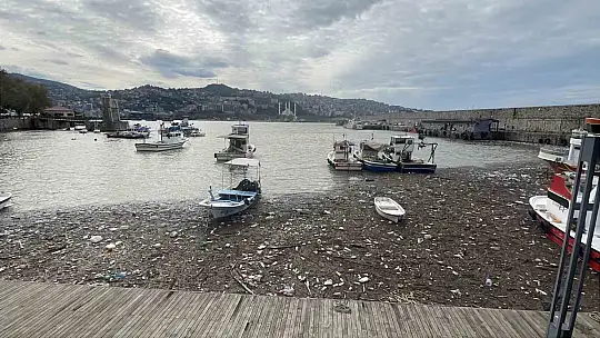 Zonguldak Limanı çöplüğe döndü: Derelerin taşıdığı atıklar deniz yüzeyini kapladı