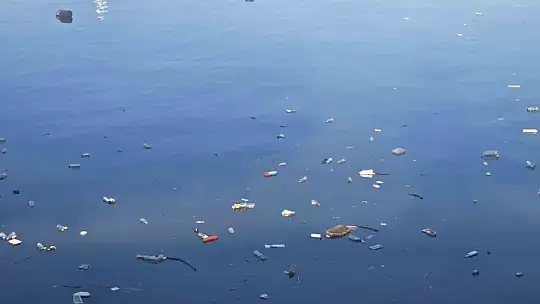 Zonguldak Limanı'nda çevre kirliliği dikkat çekti