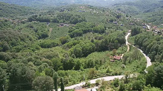 Zonguldak ormanları baharın gelişiyle dronla görüntülendi
