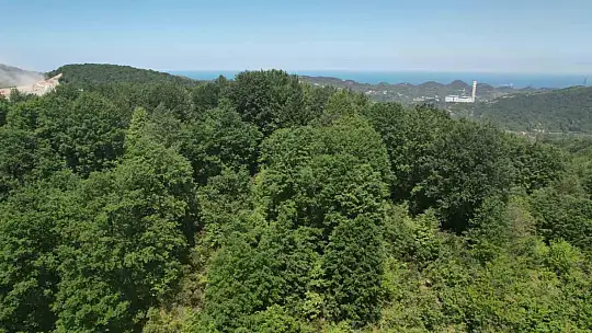 Zonguldak ormanları baharın gelişiyle dronla görüntülendi