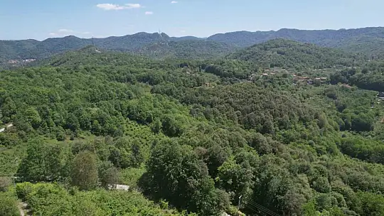 Zonguldak ormanları baharın gelişiyle dronla görüntülendi