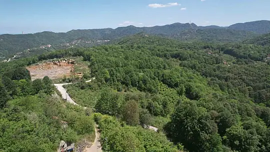 Zonguldak ormanları baharın gelişiyle dronla görüntülendi