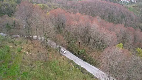 Zonguldak ormanları ilkbaharı renkleriyle karşılıyor